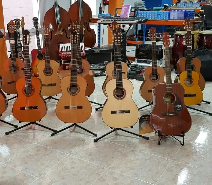 Fila de guitarras clásicas y acústicas en sus soportes